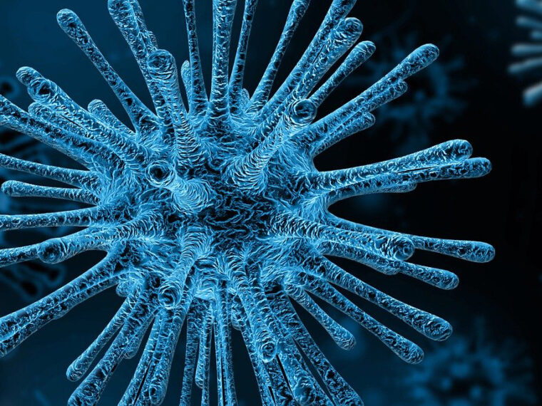 HAVEL & PARTNERS / Česká a Slovenská republika / Mimořádná nabídka podpory a spolupráce