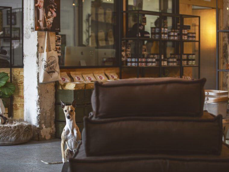 Komplexní poradenství společnosti Rupula one při koupi podílu a dalším financování firmy Pet Farm Family