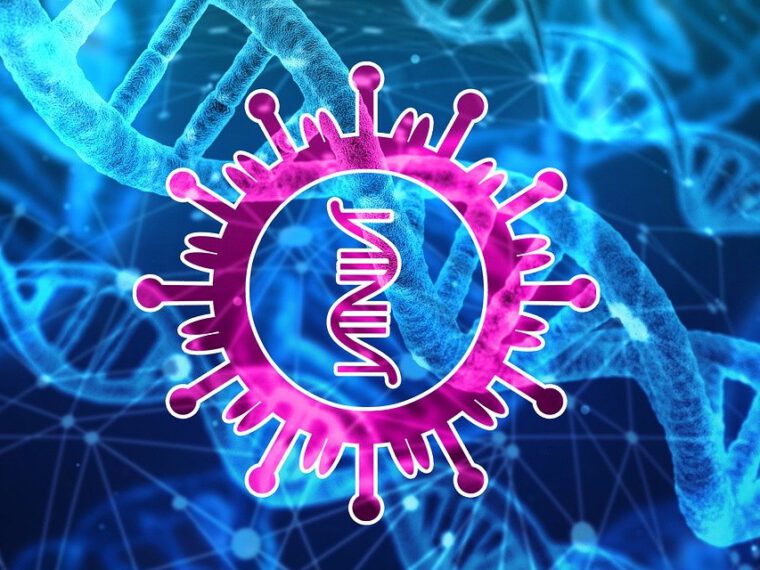 Přestupky v době koronavirové – stav 2021